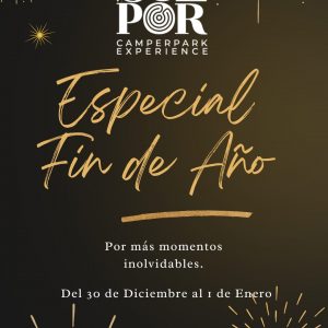 Especial fin de año